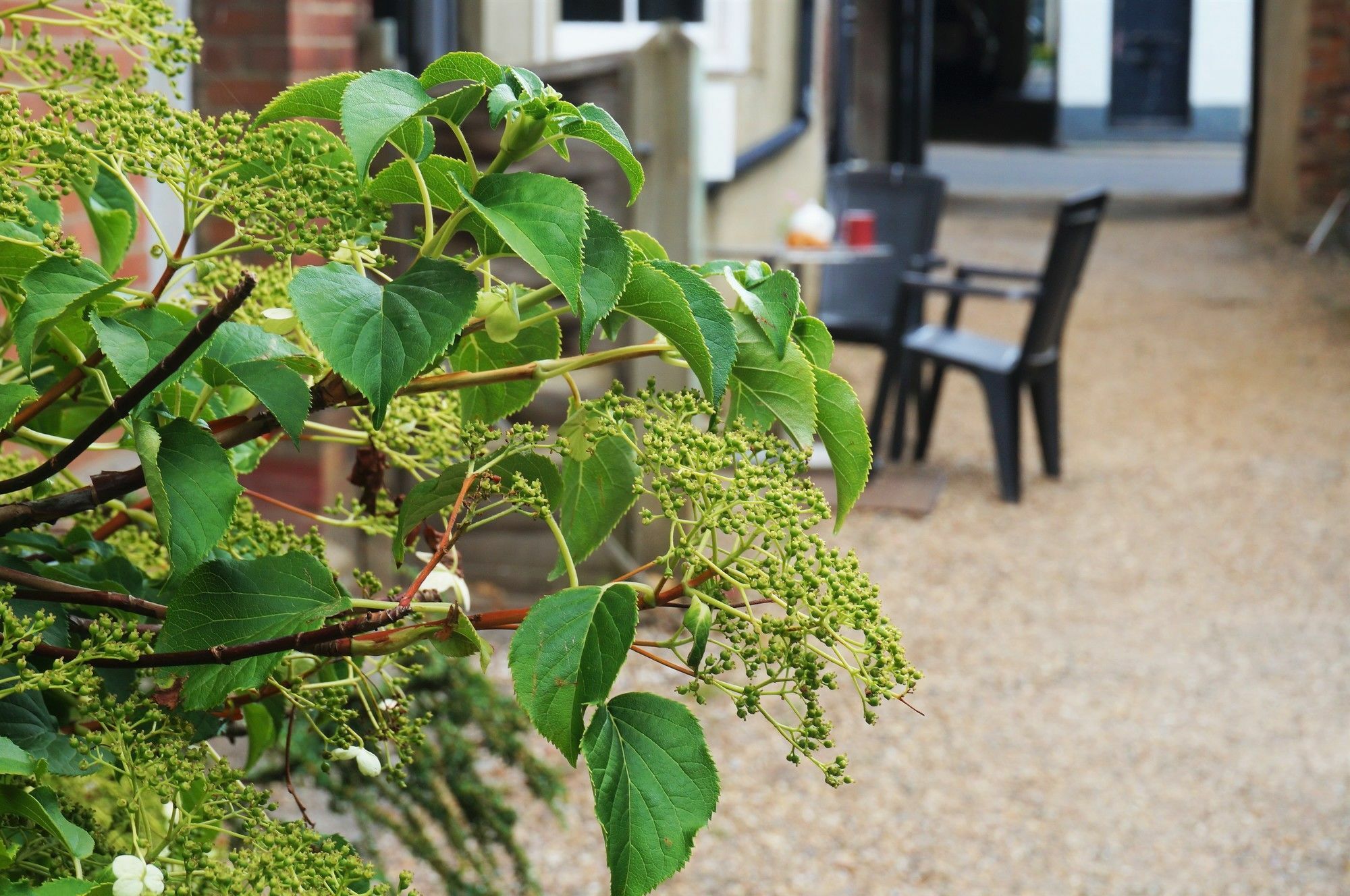 Greyfriars Lodge Canterbury Esterno foto